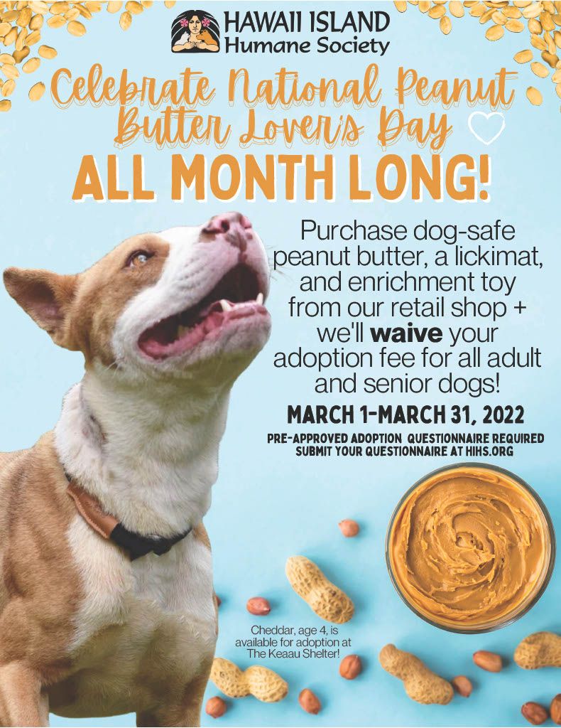 March Adoption Flyer
